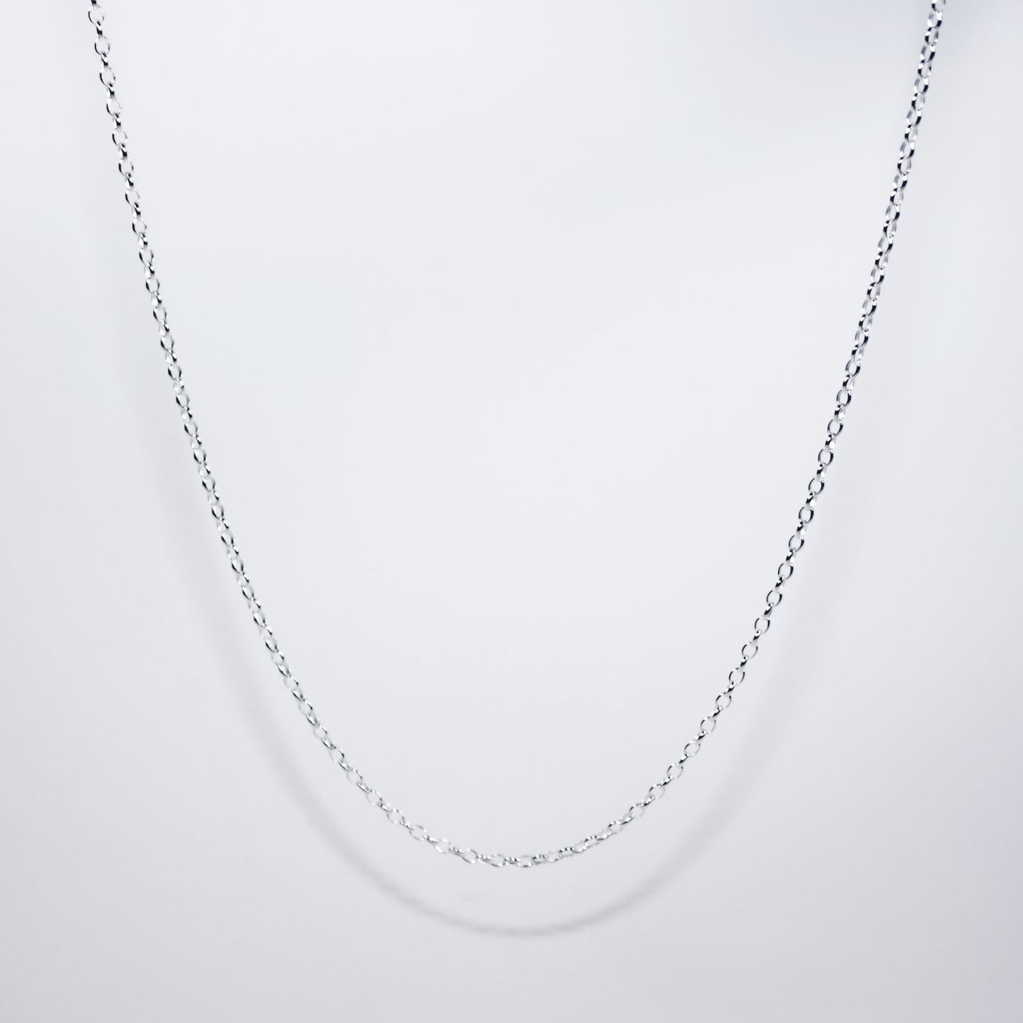 A photo of a fine silver chain from Crawford Equestrian jewelry.