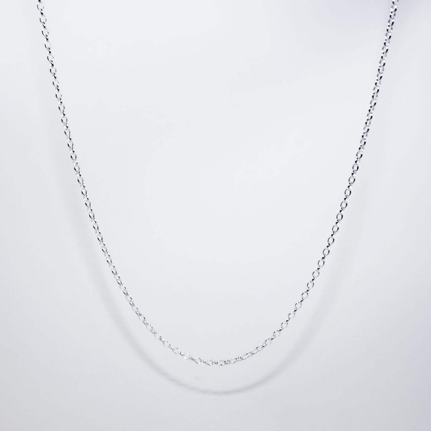 A photo of a fine silver chain from Crawford Equestrian jewelry.